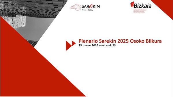 Plenario 2026. Presentación DEMA